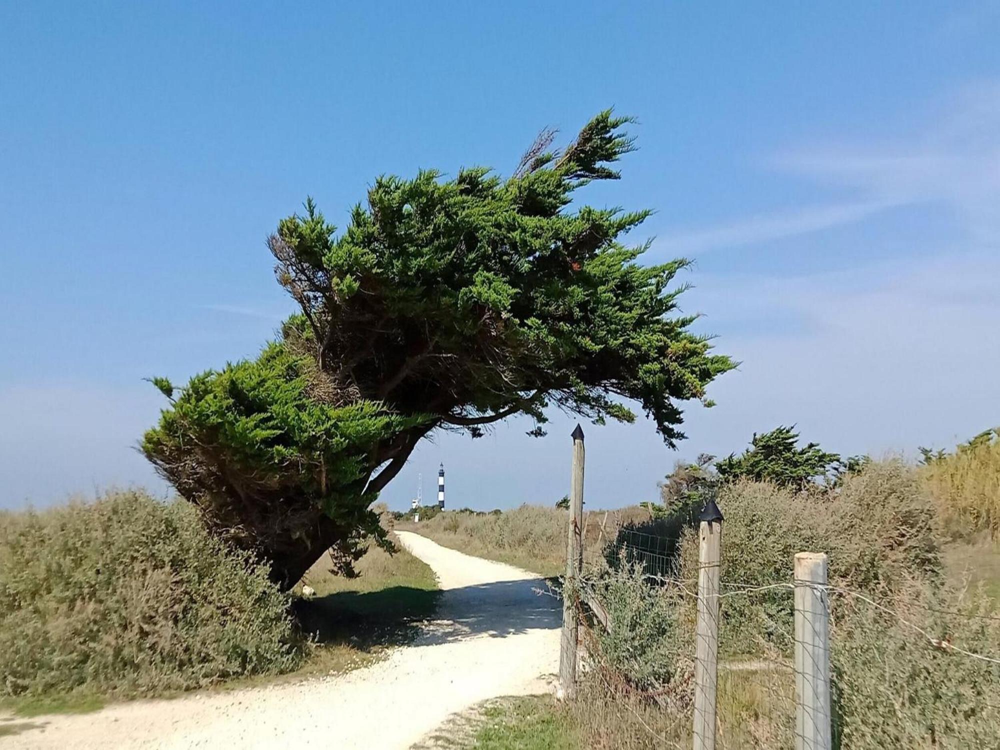 Les Hameaux Des Sables Vignie Saint Georges D Ol Ron Holiday Home Not Detached Exterior foto