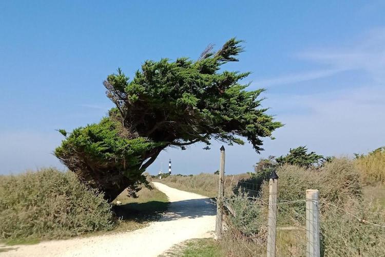 Les Hameaux Des Sables Vignie Saint Georges D Ol Ron Holiday Home Not Detached Exterior foto